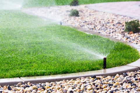 sprinkler system watering the lawn Colonial Lawn & Garden
