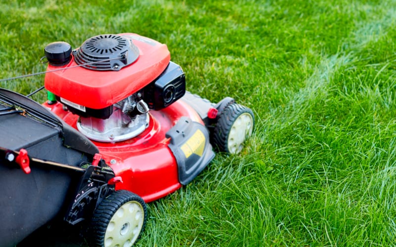 red grass cutter on the lawn Colonial Lawn & Garden grass cutting service