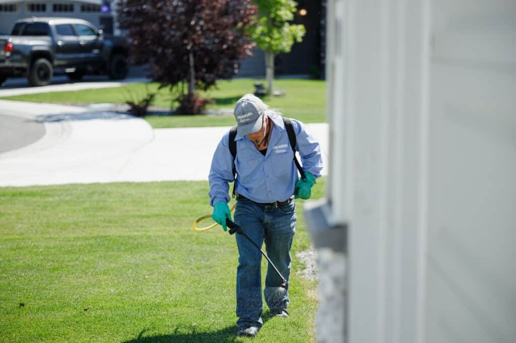 fall pest control colonial lawn and garden