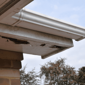 gutter cleaning experts colonial lawn
