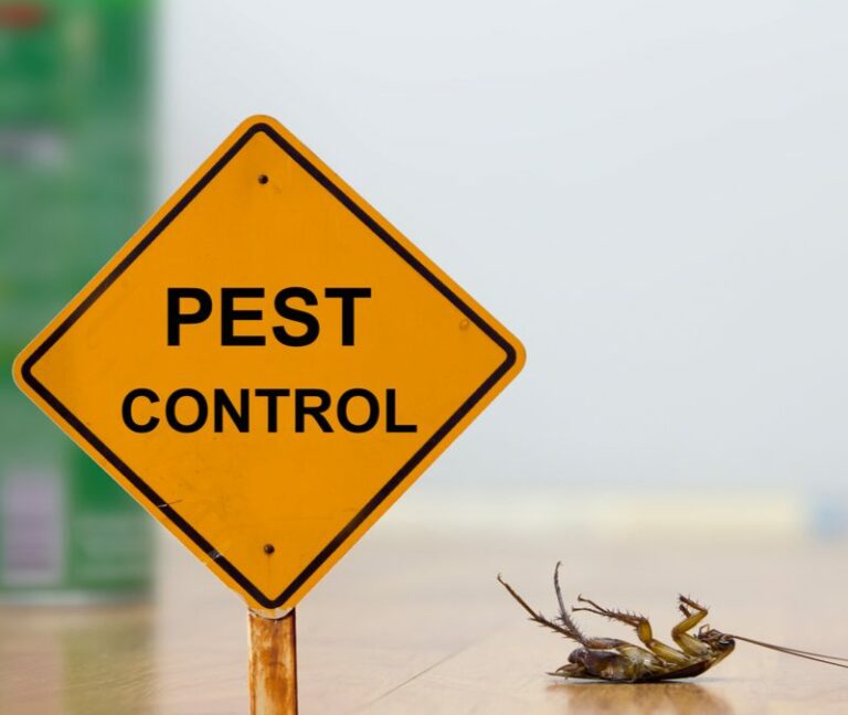 pest control sign 800 800x675 1