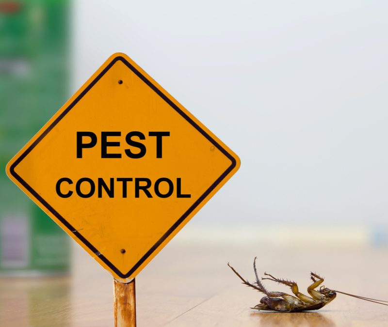 pest control sign 800 800x675 1