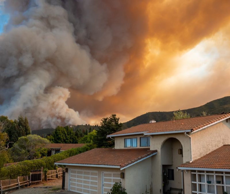 wildfire smoke and your garden's health