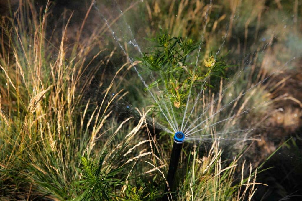 hassle free sprinkler maintenance in Tri-Cities Colonial Lawn and Garden