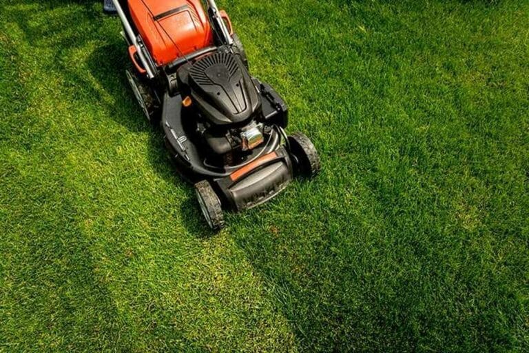 Mowing Setting the Stage for Winter Colonial Lawn and Garden
