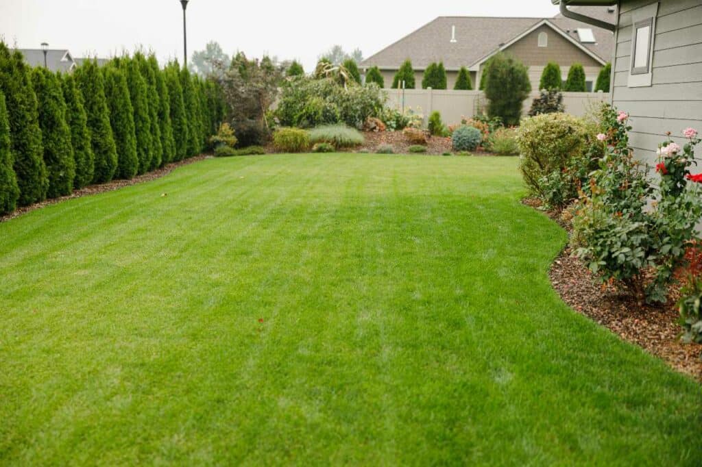 a healthy and green lawn by Colonial Lawn and Garden