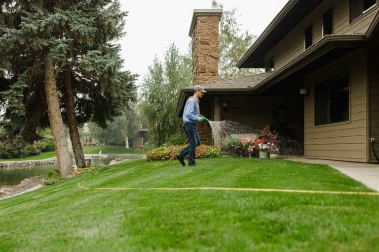 adequate watering by our lawn care expert from Colonial Lawn and Garden