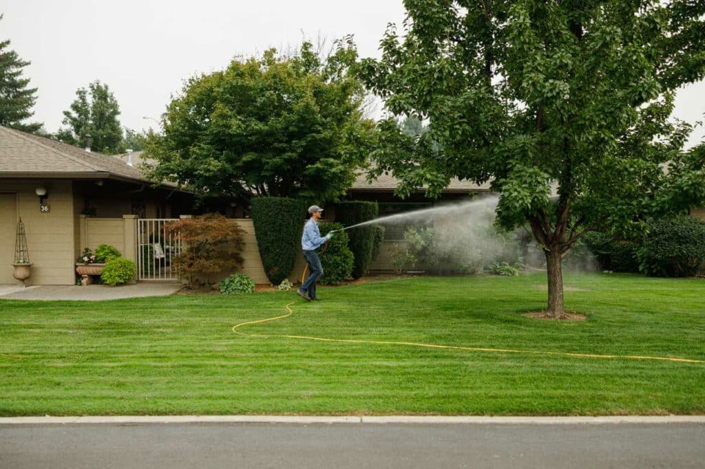 Improving Your Lawn in Yakima with Colonial Lawn Garden