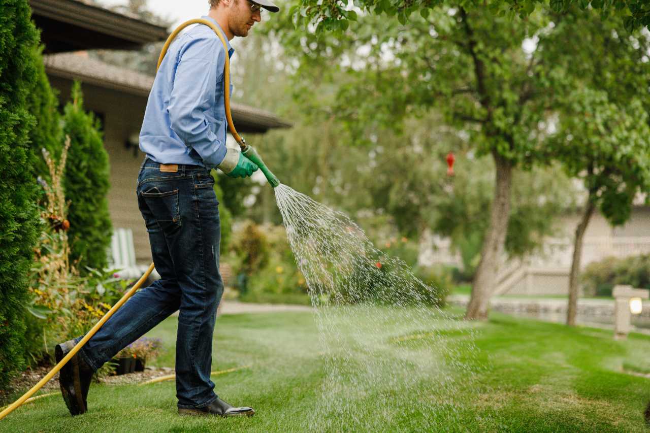 Watering Tips for Efficient Lawn Care Colonial Lawn and Garden