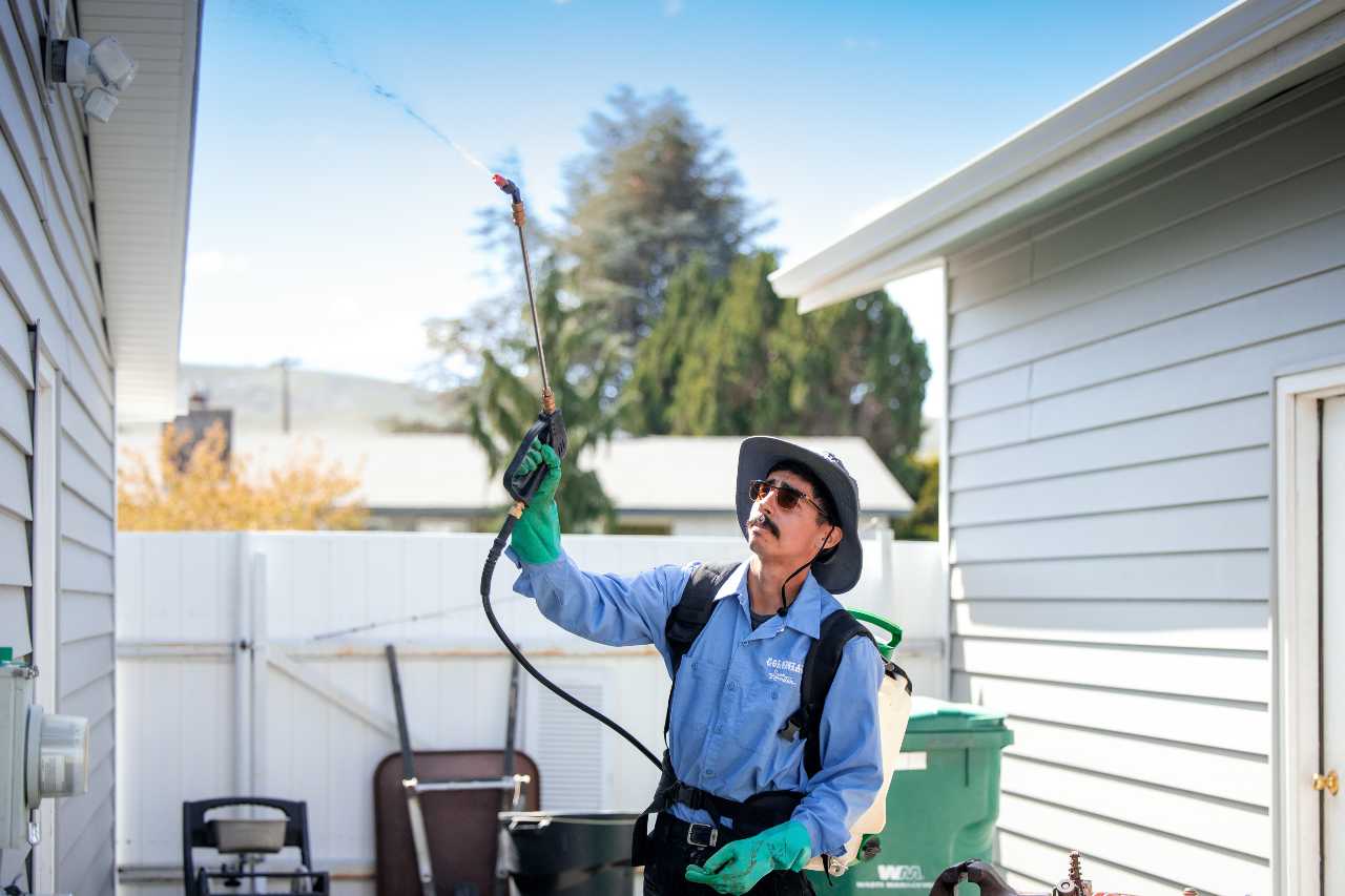 5 Pest Control Mistakes Homeowners Make & How to Avoid Them