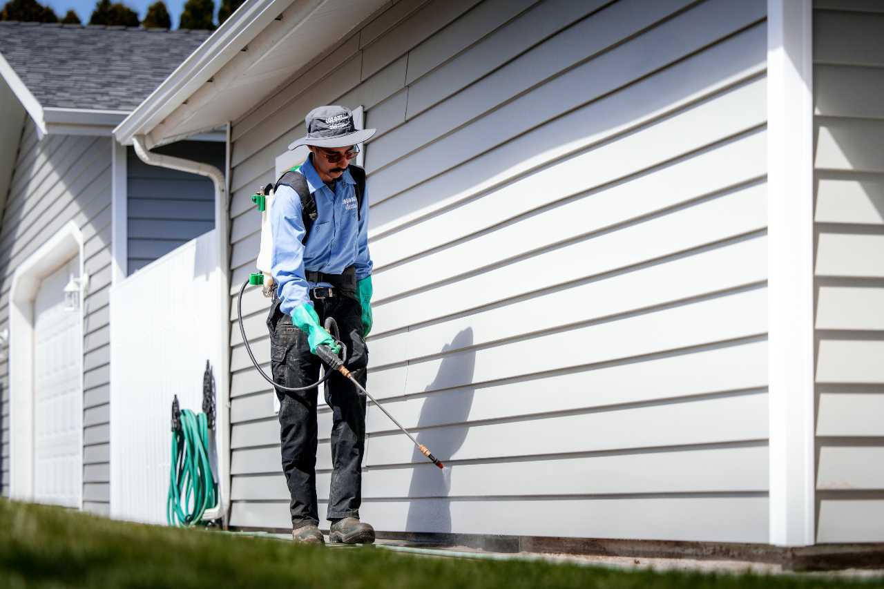 pest control mistakes from homeowners Colonial Lawn and Garden