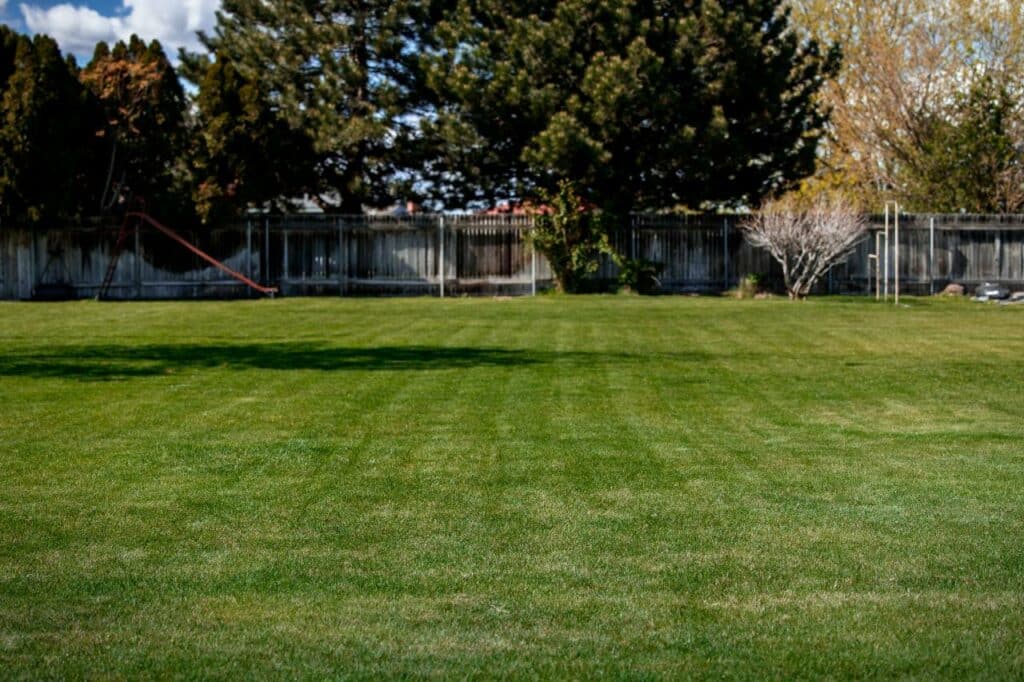 a healthy, green, lush lawn maintained by Colonial Lawn & Garden