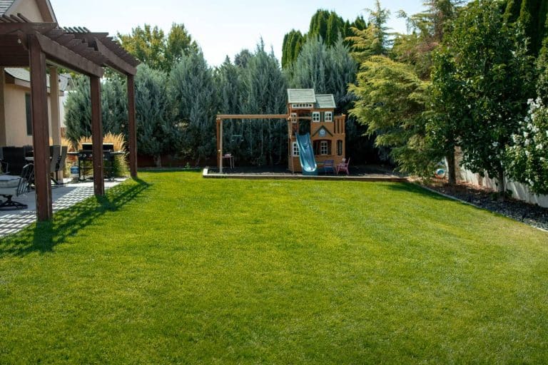 a photo of a lawn restoration