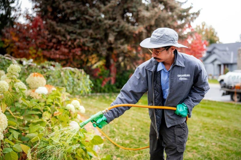 lawn care for spring