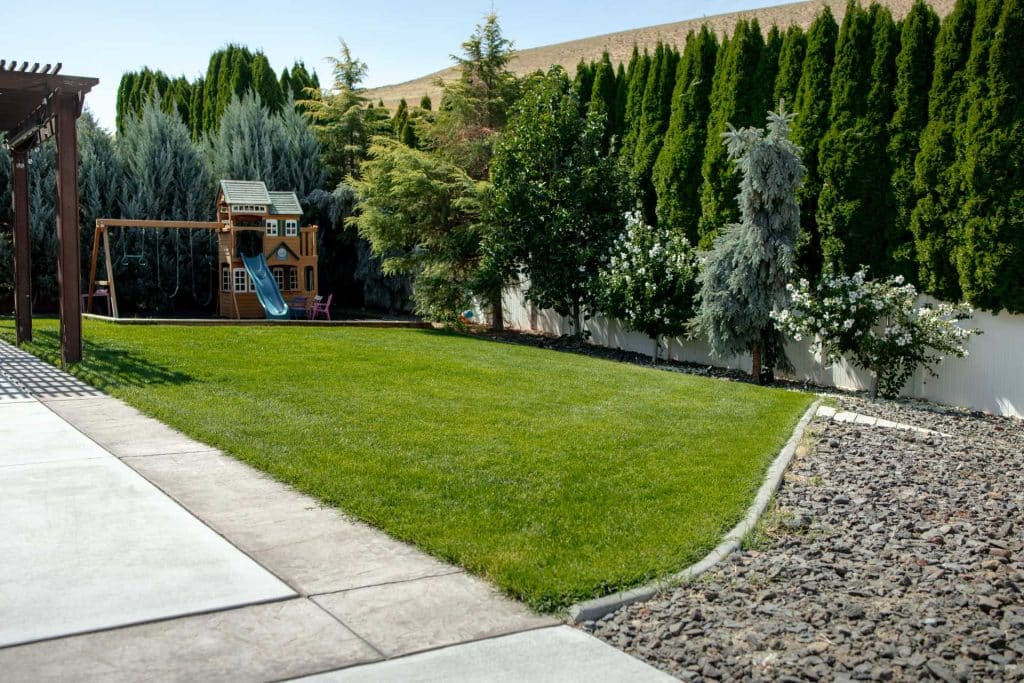 tree and shrub services from Colonial Lawn & Garden