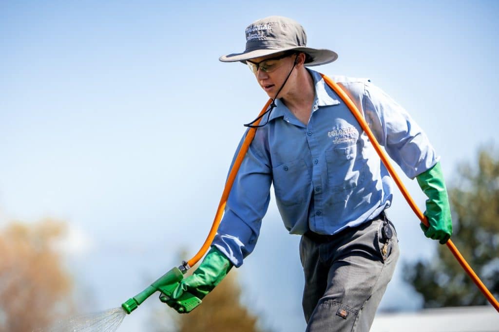 advantages of pre-emergent weed control