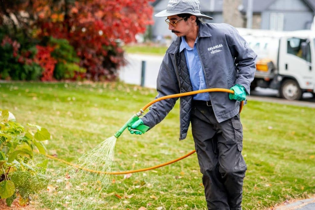lawn care Yakima diseases prevention