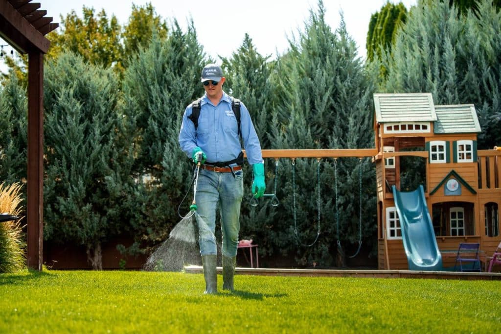 weed control services