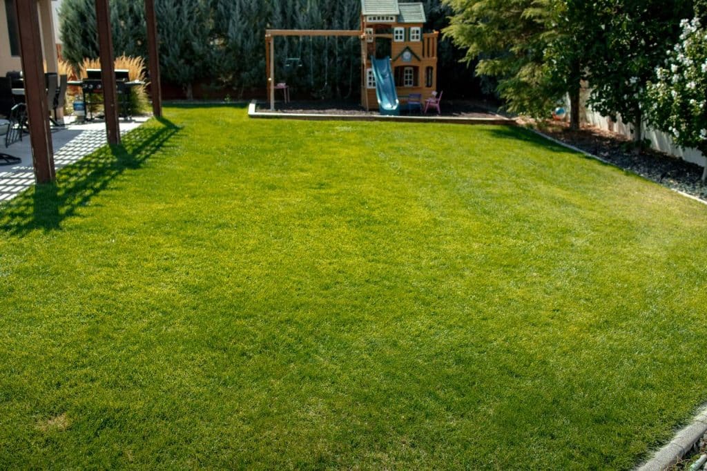 green, lush and well-maintained lawn