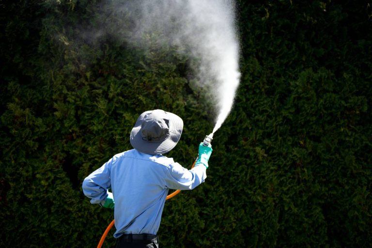 a photo of lawn spray service by Colonial Lawn & Garden