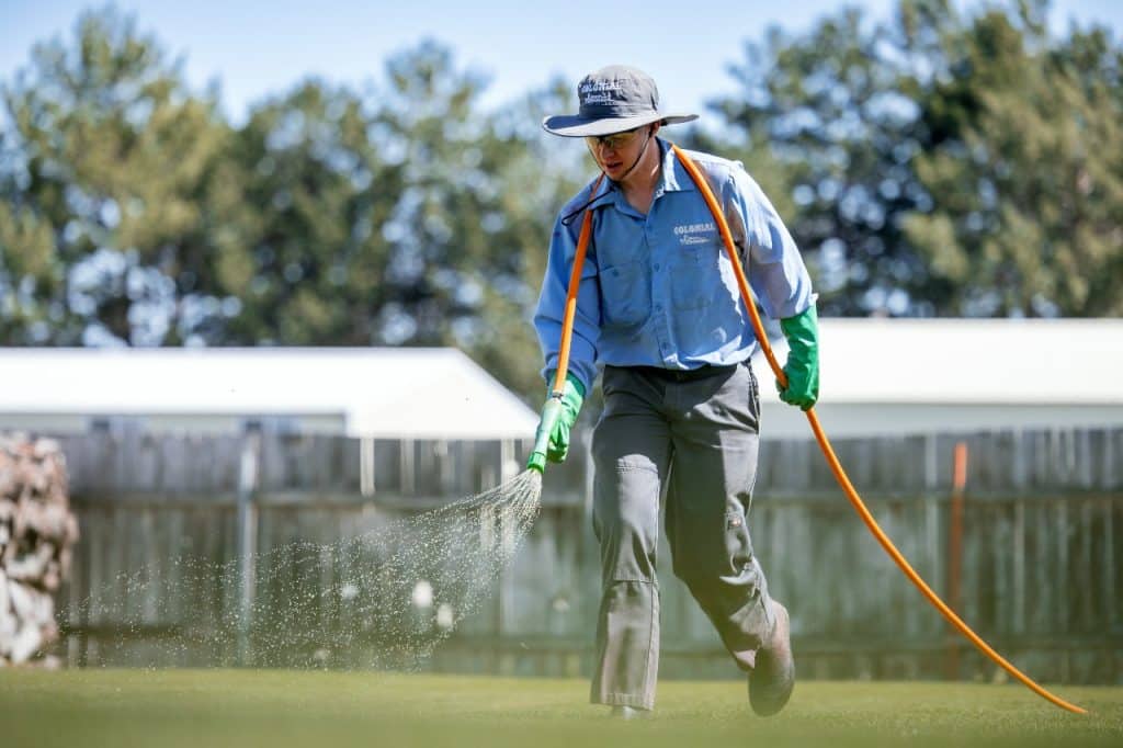 professional lawn care services