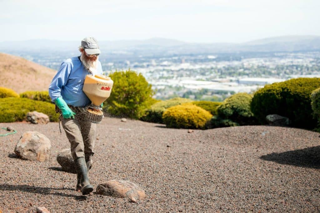 pre-emergent lawn treatments