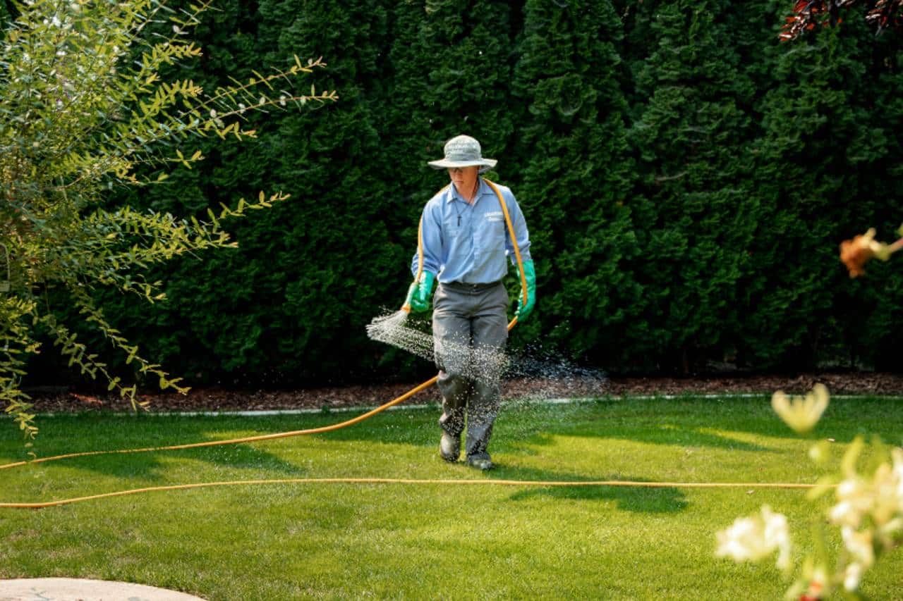 summer lawn care tips in Tri-Cities