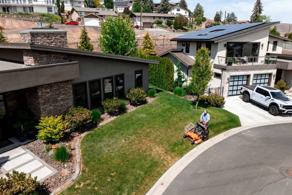 professional lawn care service