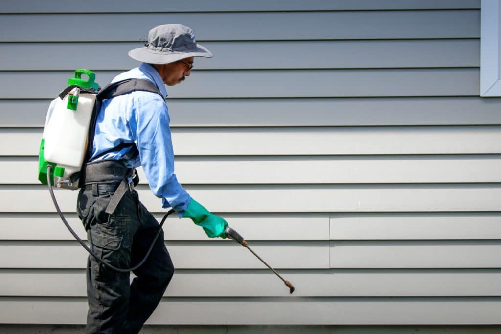 professional pest control service