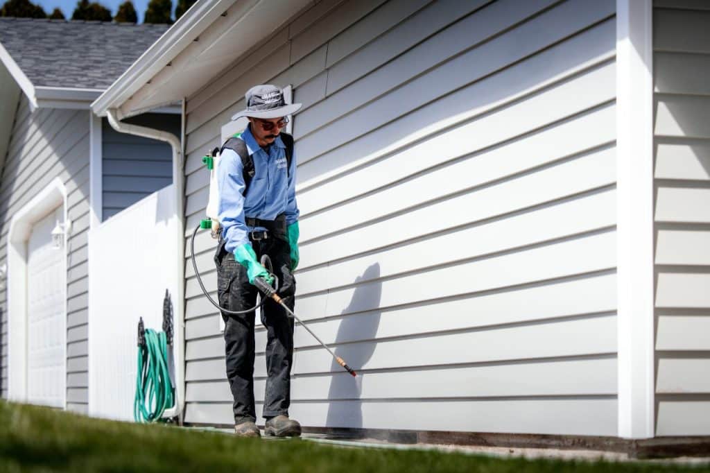 pest control treatment