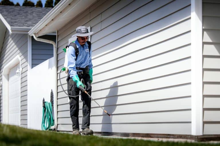 pest control treatment
