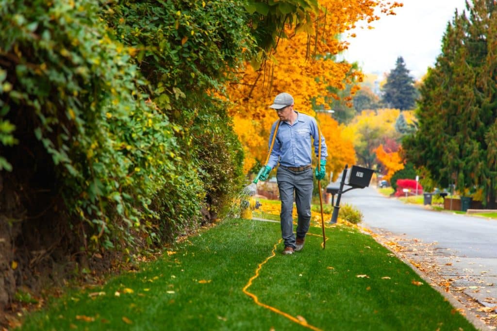 summer fertilization service