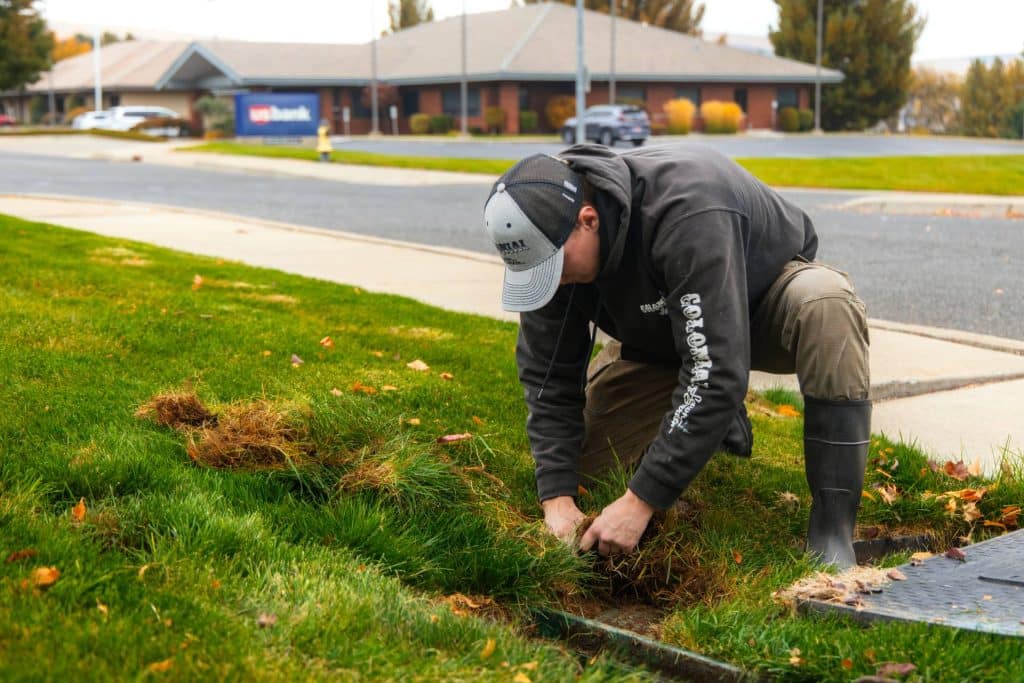trusted lawn care services in Pasco, WA