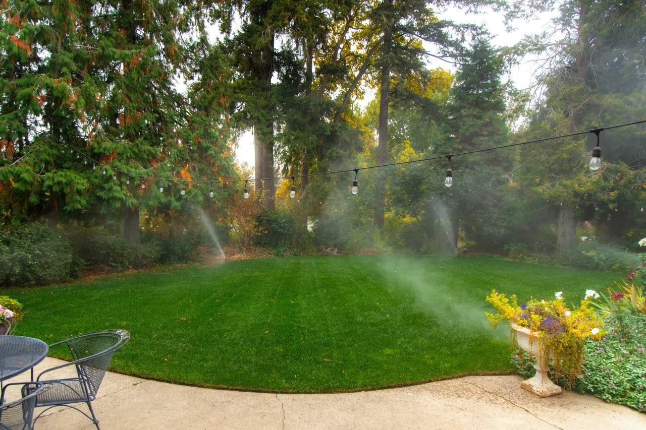 fall lawn care prep