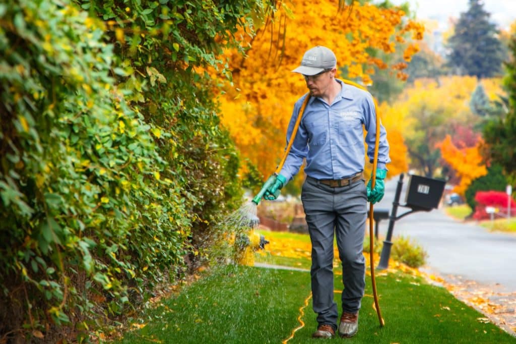 fall lawn care matters in the Tri-Cities