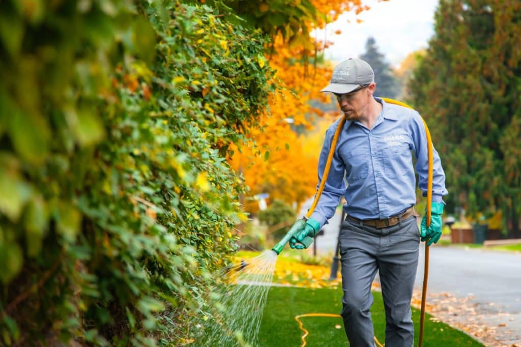 weed control treatment in Tri-Cities